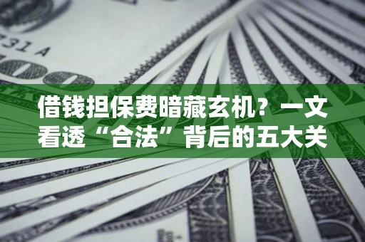 济南借钱担保费暗藏玄机？一文看透“合法”背后的五大关键陷阱