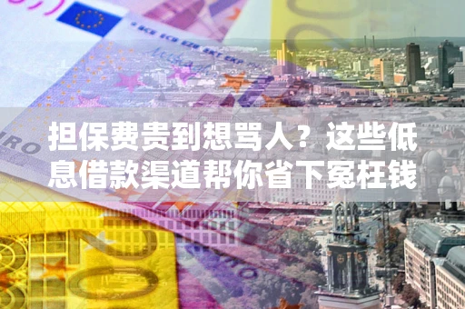 济南担保费贵到想骂人？这些低息借款渠道帮你省下冤枉钱