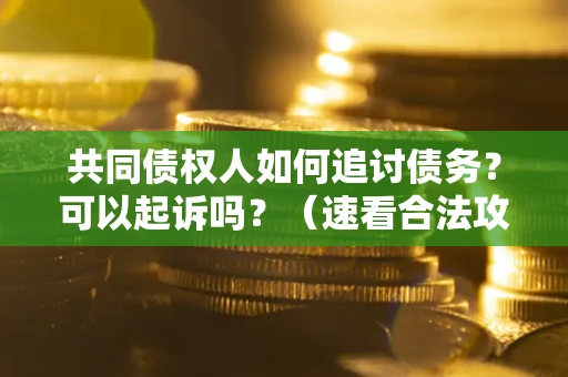 济南共同债权人如何追讨债务？可以起诉吗？（速看合法攻略）